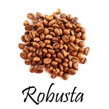 Кофе Робуста - Чай, кофе